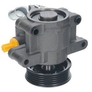 Power Steering Pump fits FORD FIESTA V FUSION MAZDA 2 DY 1141655 1227887 1363849